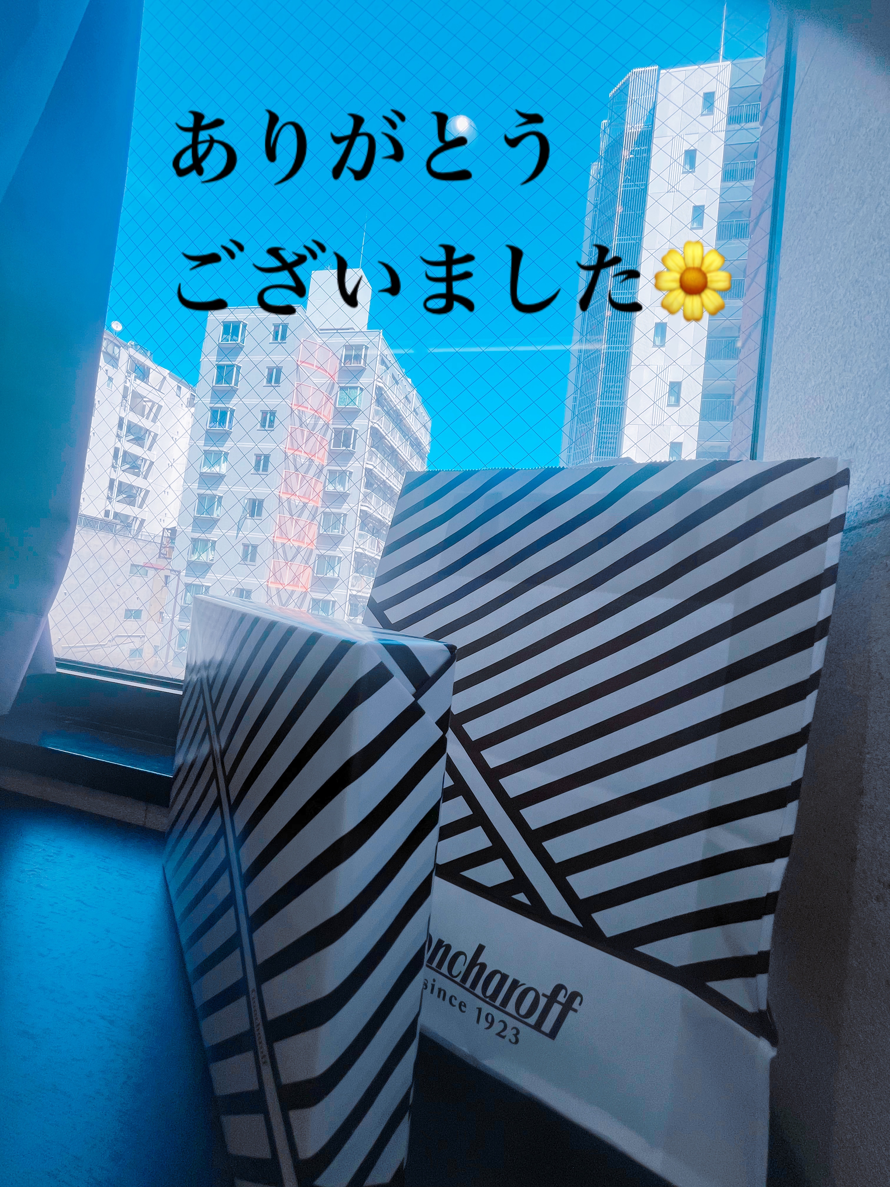 姫花-ひめか-
