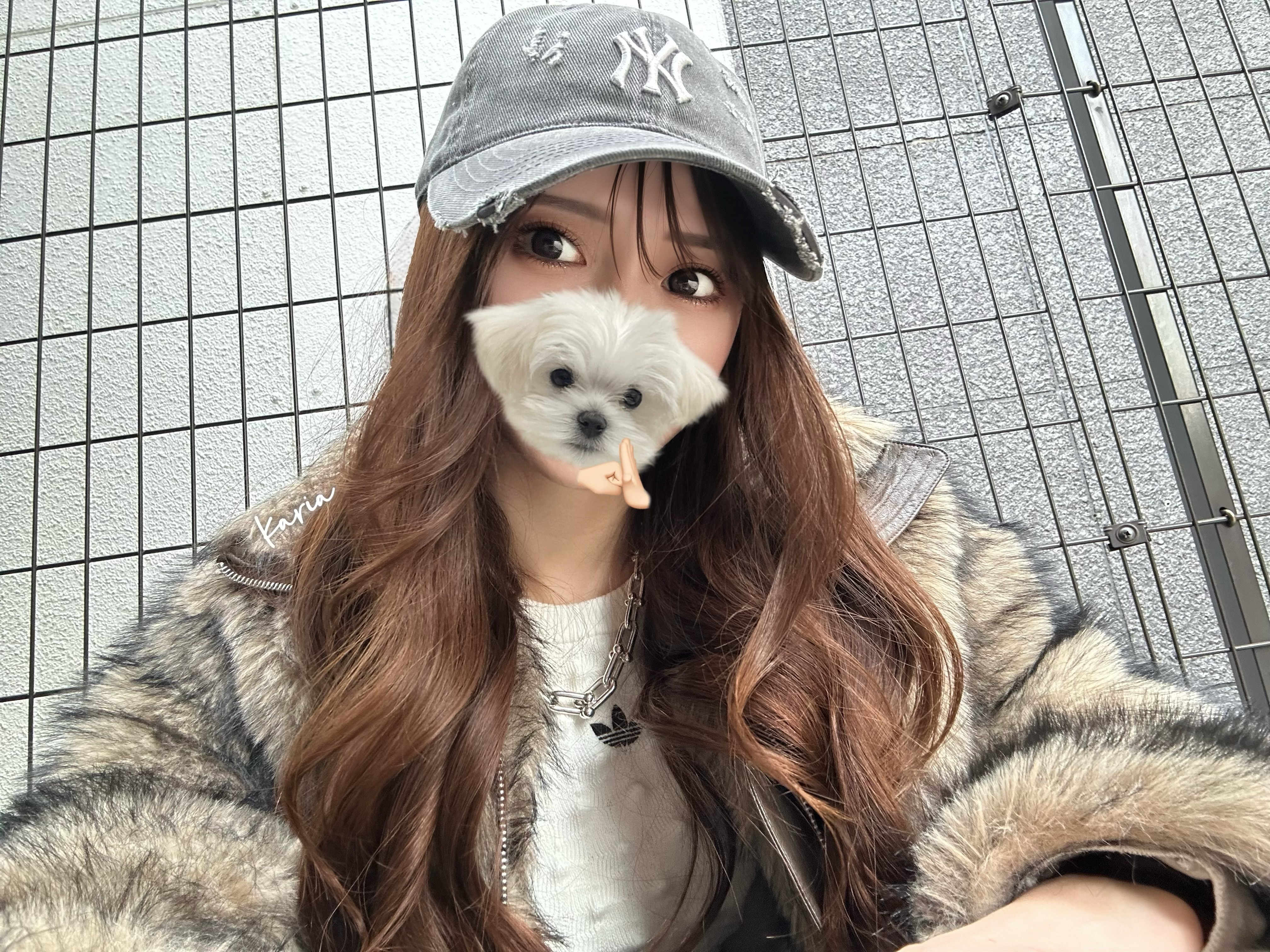 鳳カリア-かりあ-