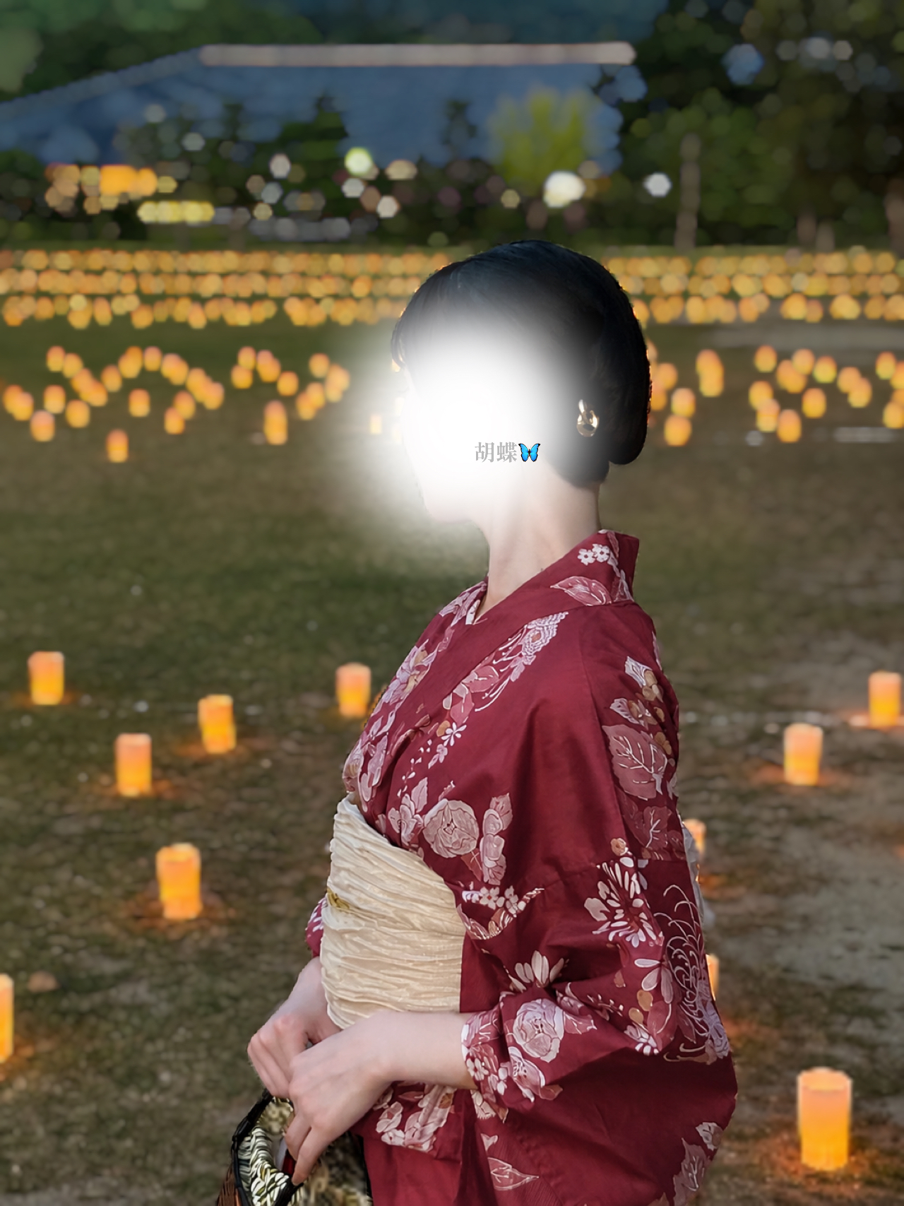 胡蝶-こちょう-のブログ「胡蝶🦋夏を感じる」