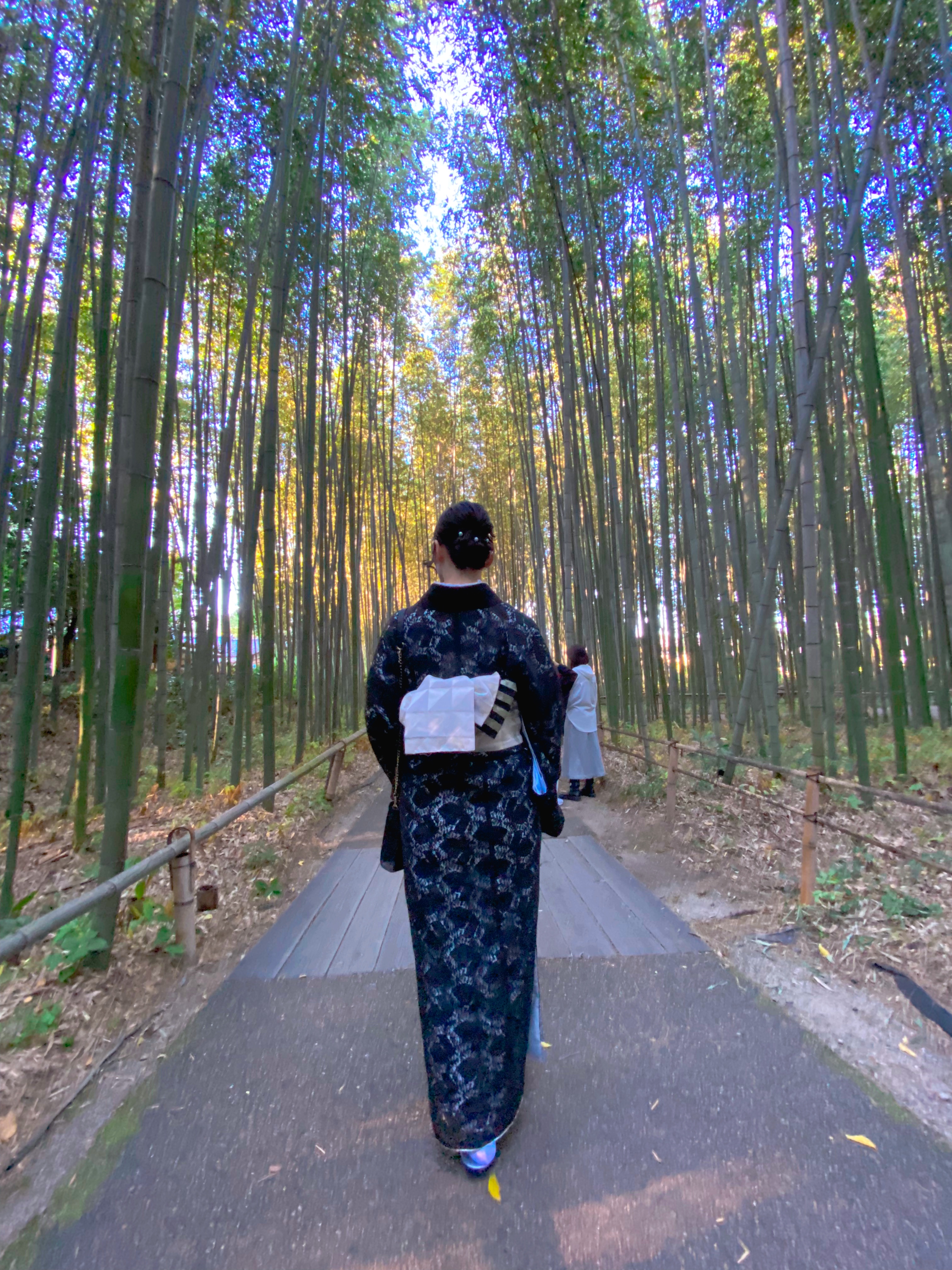 胡蝶-こちょう-のブログ「胡蝶🦋/旅へ」